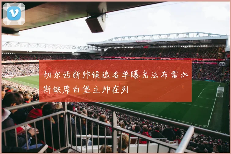 切尔西新帅候选名单曝光法布雷加斯缺席白堡主帅在列