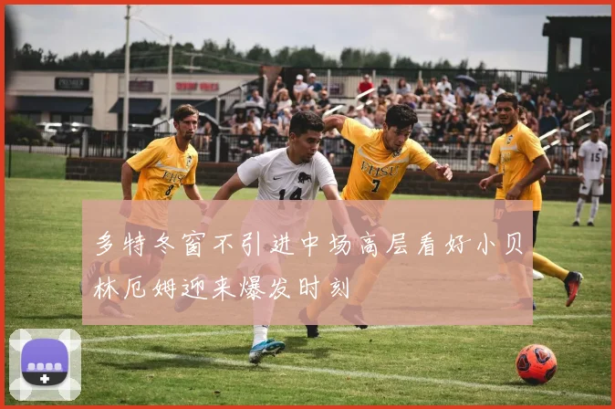 多特冬窗不引进中场高层看好小贝林厄姆迎来爆发时刻