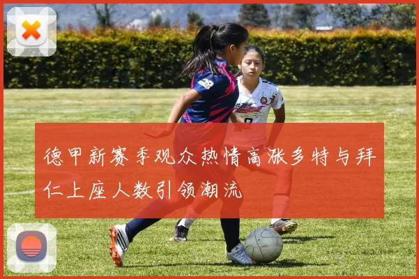 德甲新赛季观众热情高涨多特与拜仁上座人数引领潮流