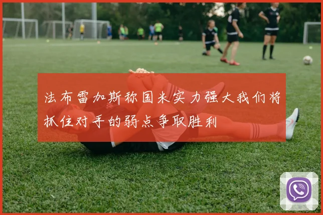 法布雷加斯称国米实力强大我们将抓住对手的弱点争取胜利