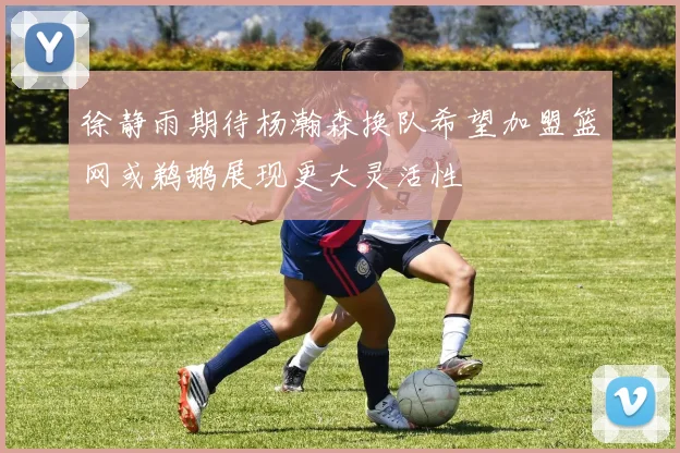 徐静雨期待杨瀚森换队希望加盟篮网或鹈鹕展现更大灵活性